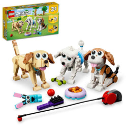 Sevimli Köpekler
