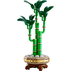 LEGO Botanicals Şans Bambusu 10344 - Ön Görsel
