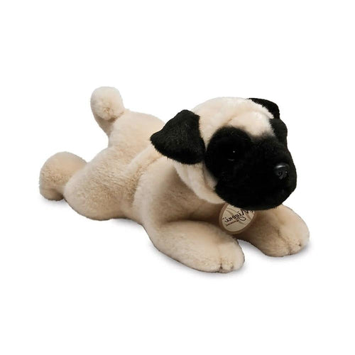 Pug Köpek