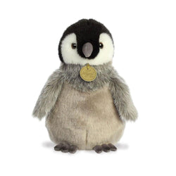 İmparator Penguen Yavrusu