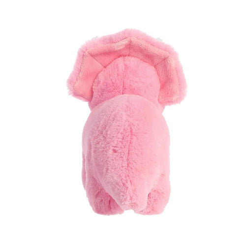 Trix Triceratops Dinozor