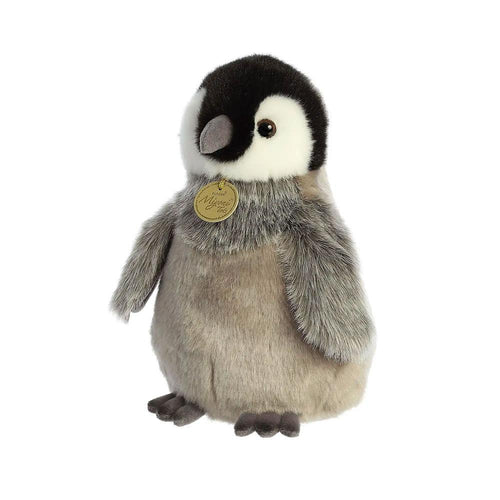 İmparator Penguen Yavrusu