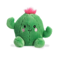 Prickles Kaktüs