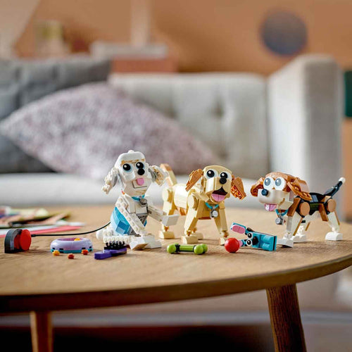 Sevimli Köpekler