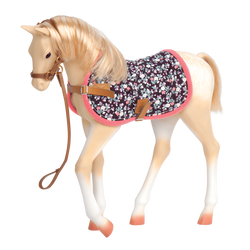 Palomino
