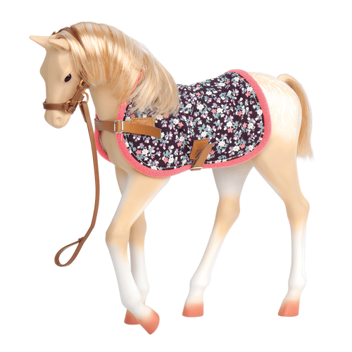 Palomino