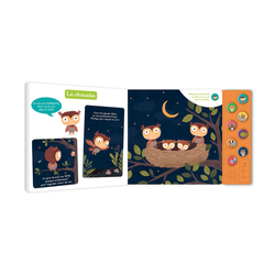 Night-Time Animals