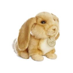 Sarkık Kulaklı Tavşan