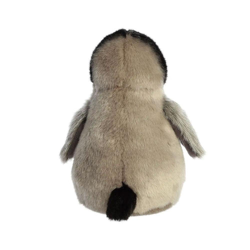 İmparator Penguen Yavrusu