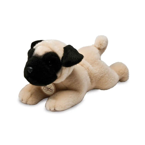 Pug Köpek
